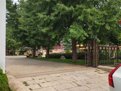 入门道路