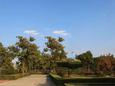 园林景观