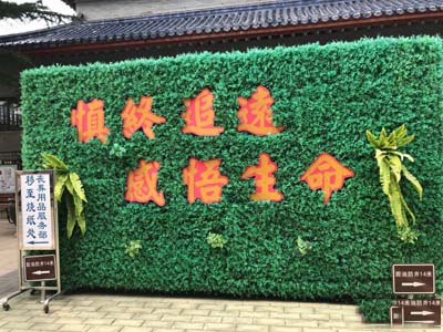 植物墙